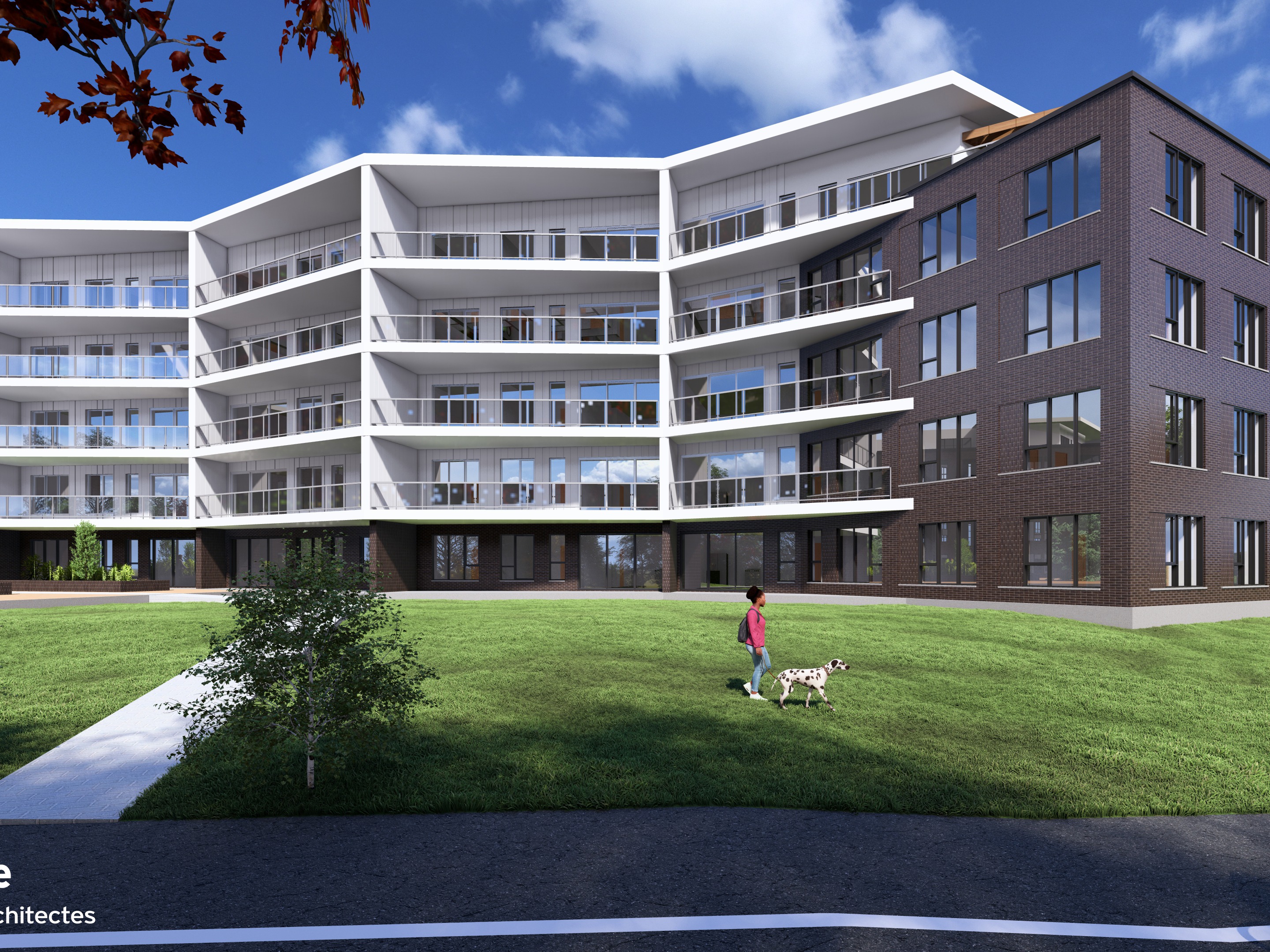 4 1/2 - Aqua Roca - Phase 1